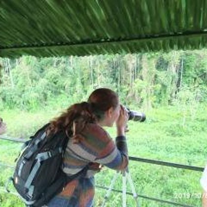 Torre de observacion M.W.