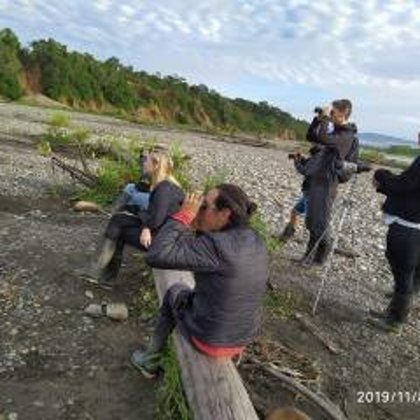observación de loros 