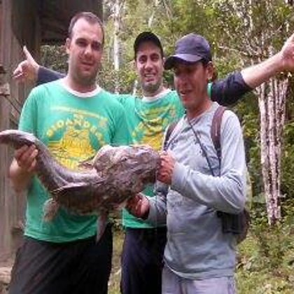 Los bagres del Alto Madre