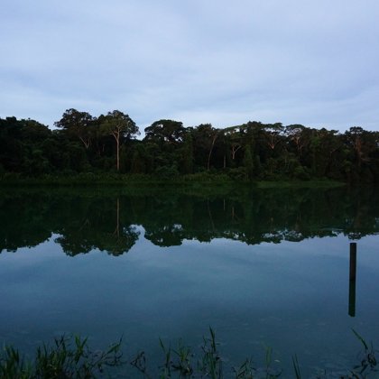 Cocha Salvador Río Manu