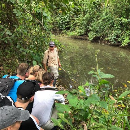 Mirando Caiman blanco
