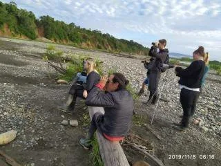 observación de loros 