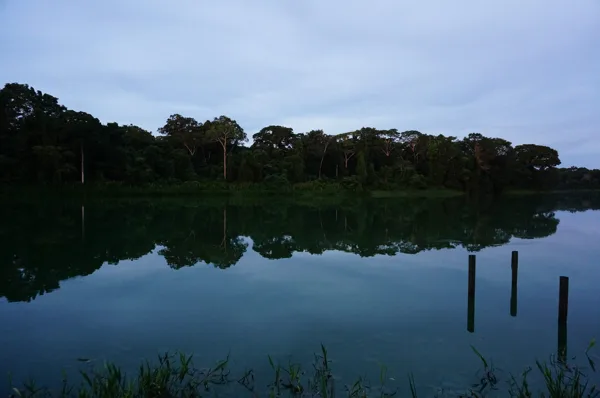 Cocha Salvador Río Manu