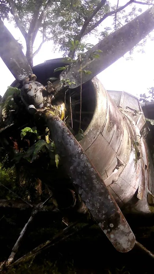 Avion de Guerra