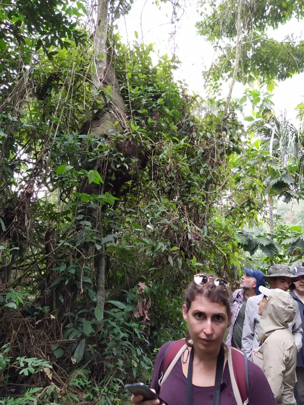 Paseo por el bosque
